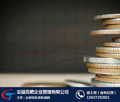 高瞻管理 项目投资价值企划与资金管理细则 — 投资管理与咨询的精准策略